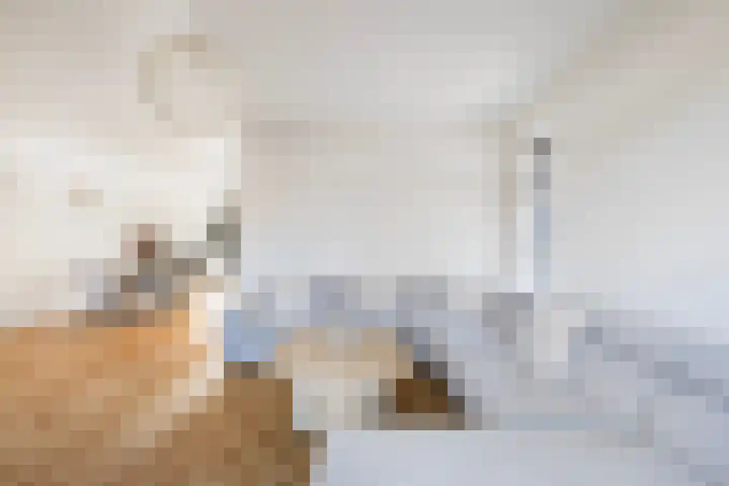 Johan Wagenaarlaan 1 Maassluis thumbnail 12