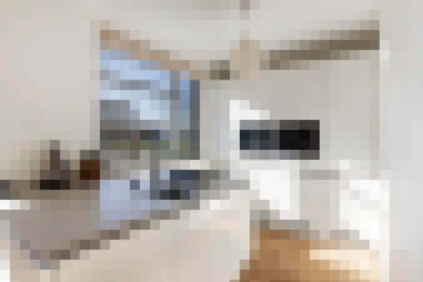 Johan Wagenaarlaan 1 Maassluis thumbnail 20