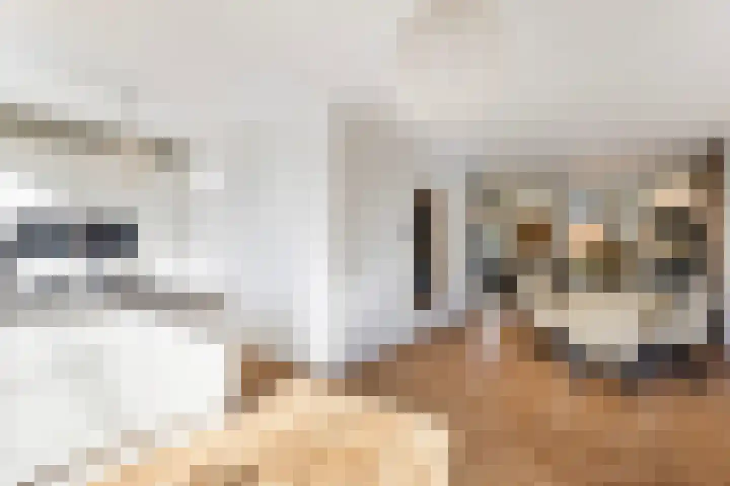 Johan Wagenaarlaan 1 Maassluis thumbnail 22