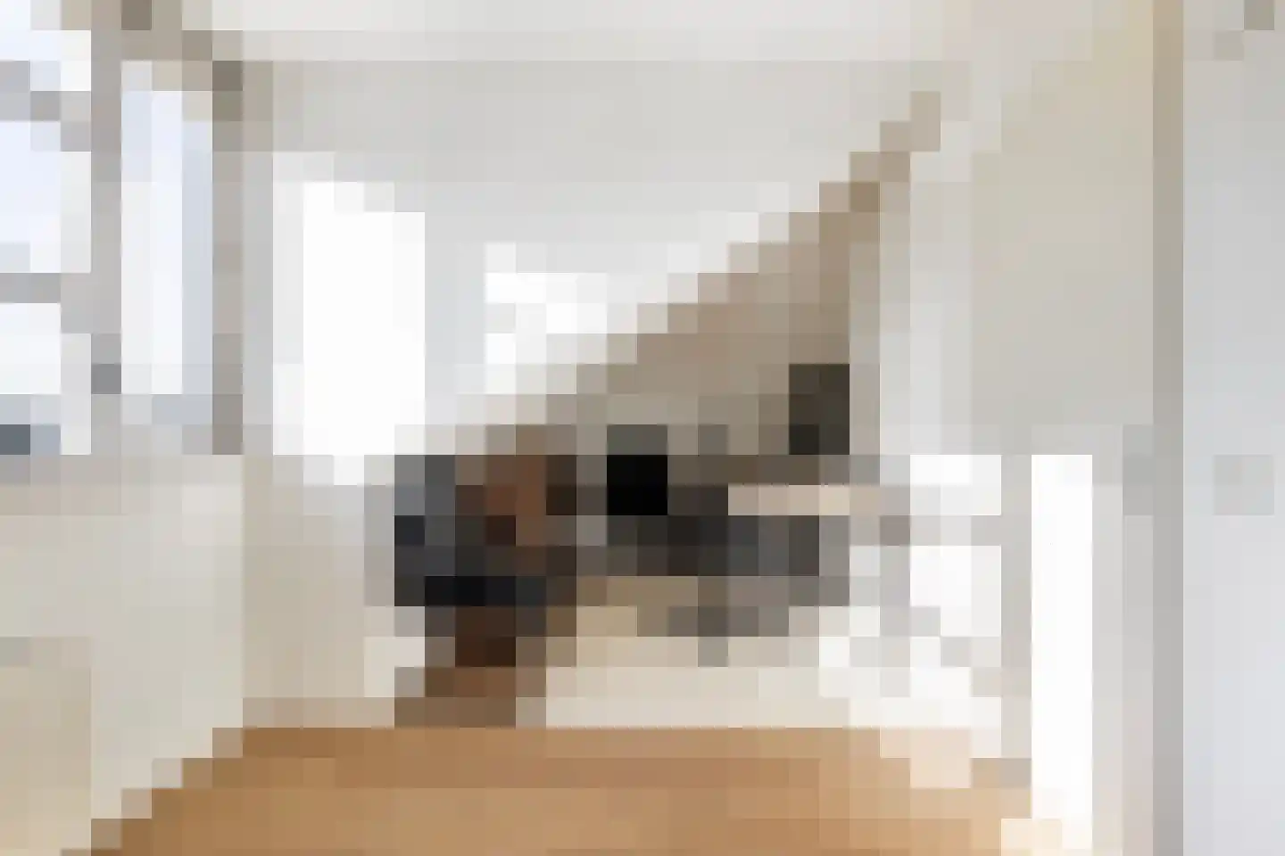 Johan Wagenaarlaan 1 Maassluis thumbnail 45