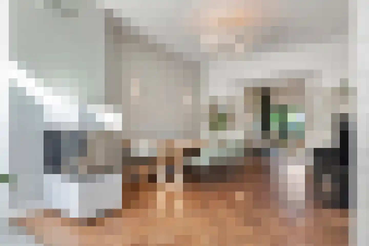 Johan Wagenaarlaan 14 Heemstede thumbnail 12