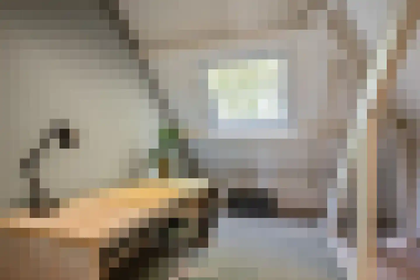 Johan Wagenaarlaan 14 Heemstede thumbnail 65