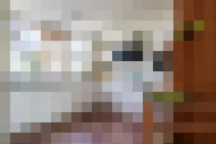 Johan Wagenaarlaan 17 Oegstgeest thumbnail 13