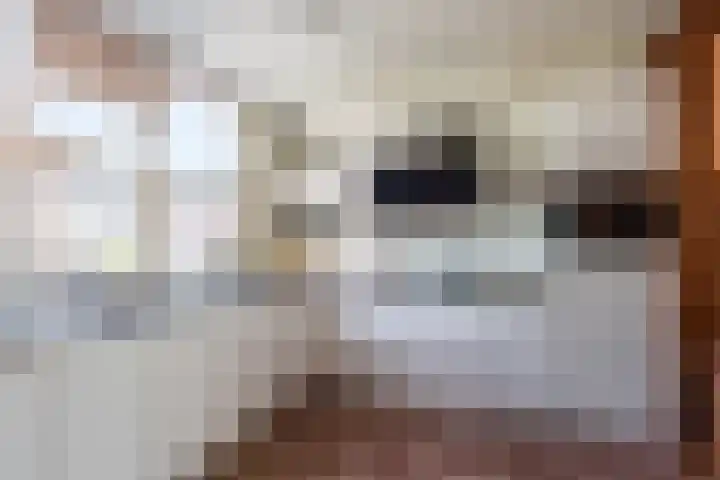 Johan Wagenaarlaan 17 Oegstgeest thumbnail 14