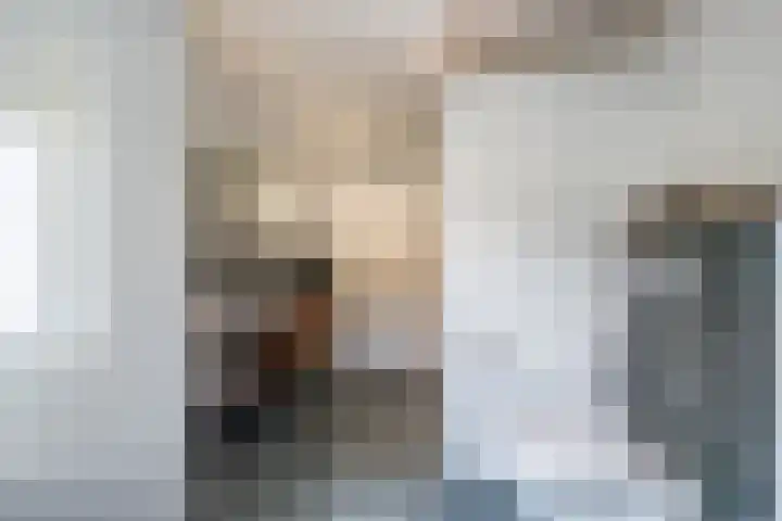 Johan Wagenaarlaan 17 Oegstgeest thumbnail 30