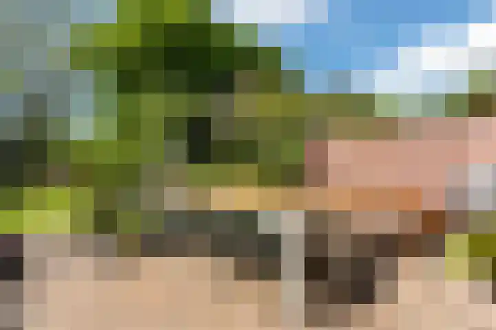 Johan Wagenaarlaan 17 Oegstgeest thumbnail 39