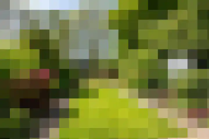 Johan Wagenaarlaan 17 Oegstgeest thumbnail 42