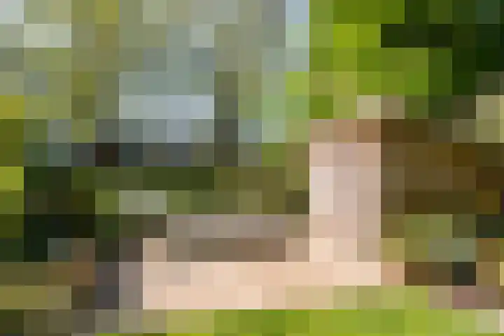 Johan Wagenaarlaan 17 Oegstgeest thumbnail 44