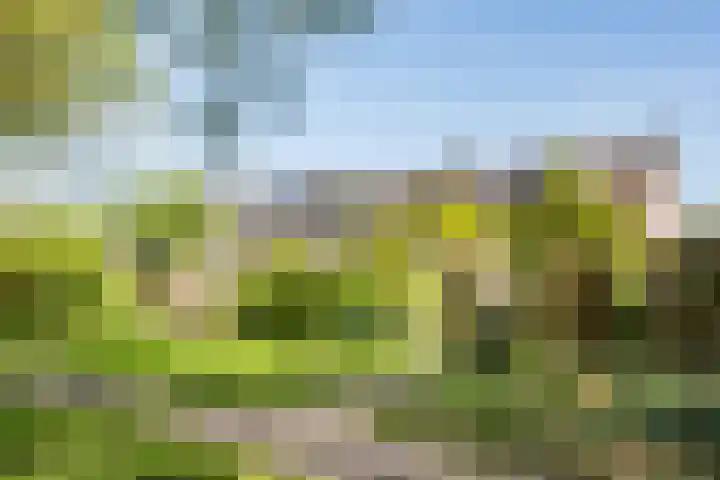 Johan Wagenaarlaan 17 Oegstgeest thumbnail 48