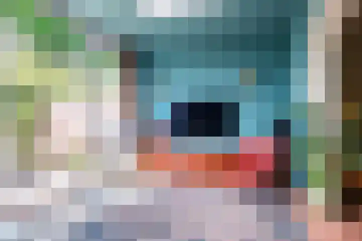 Johan Wagenaarlaan 17 Oegstgeest thumbnail 5