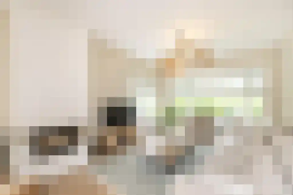 Johan Wagenaarlaan 24 Heemstede thumbnail 5