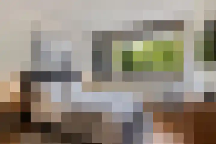 Johan Wagenaarlaan 3 Deventer thumbnail 4