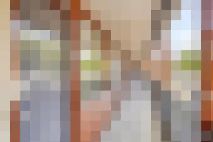 Johan Wagenaarlaan 3 Deventer thumbnail 8
