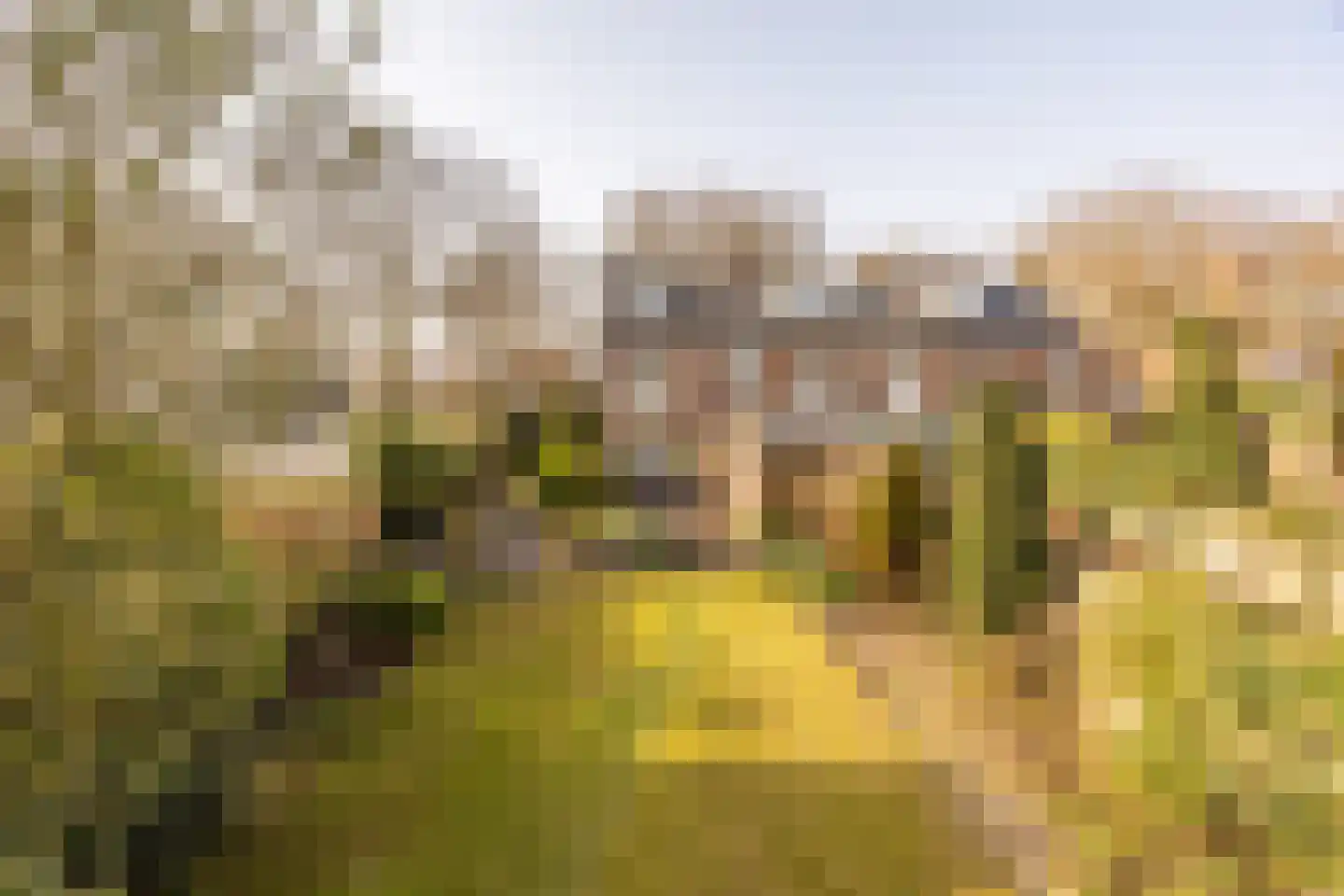 Johan Wagenaarlaan 38 Heemstede thumbnail 28