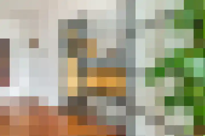 Johan Wagenaarlaan 5 Heemstede thumbnail 12