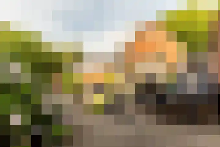 Johan Wagenaarlaan 5 Heemstede thumbnail 18