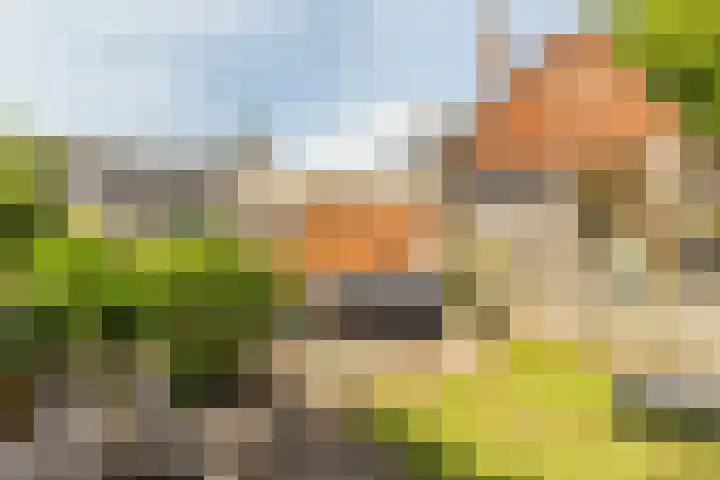 Johan Wagenaarlaan 5 Heemstede thumbnail 19