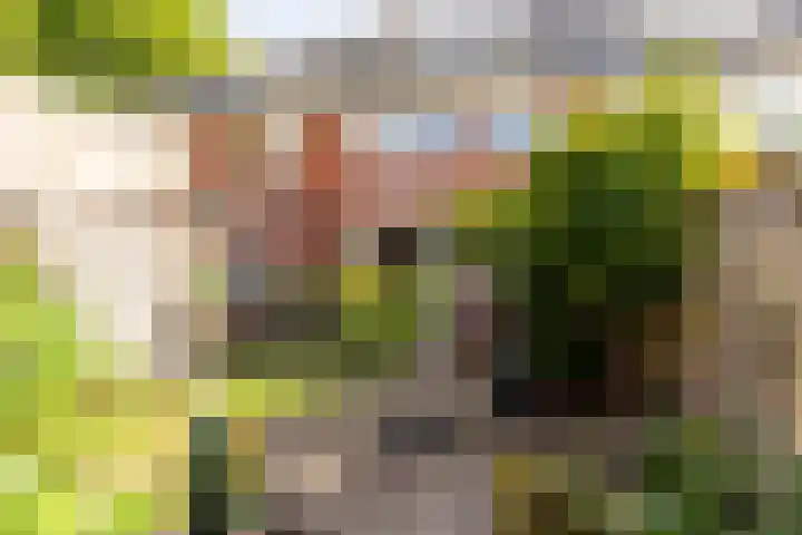 Johan Wagenaarlaan 5 Heemstede thumbnail 20
