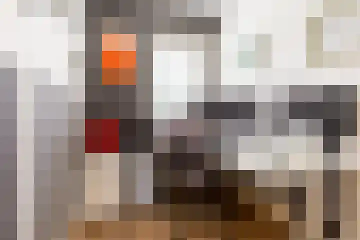 Johan Wagenaarlaan 5 Heemstede thumbnail 26