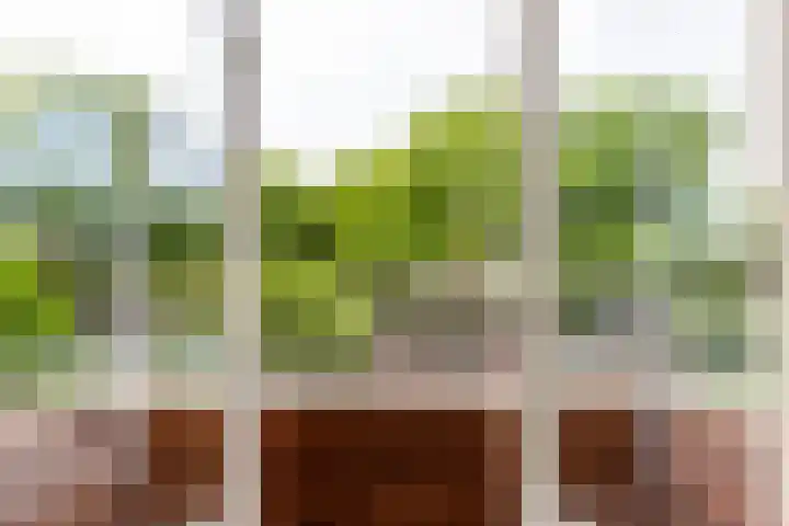 Johan Wagenaarlaan 5 Heemstede thumbnail 29