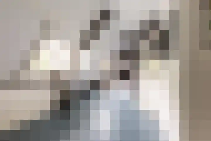 Johan Wagenaarlaan 5 Heemstede thumbnail 33
