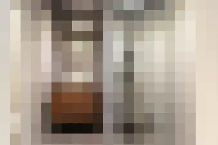 Johan Wagenaarlaan 5 Heemstede thumbnail 35