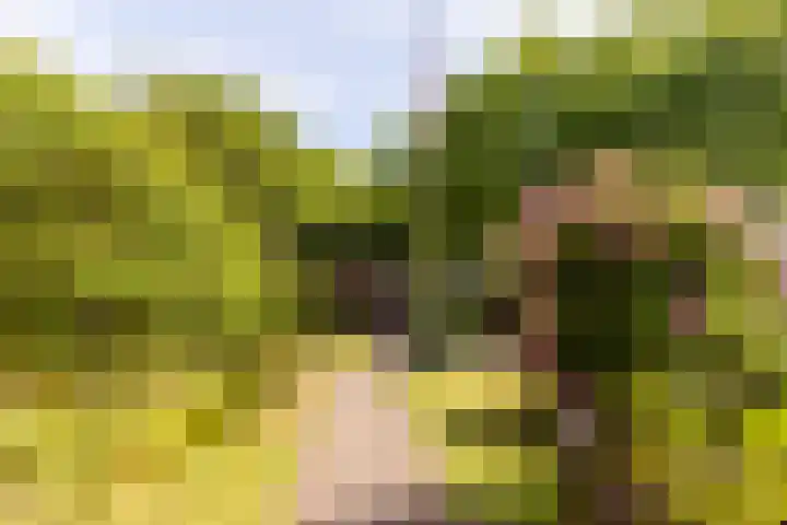 Johan Wagenaarlaan 5 Heemstede thumbnail 4