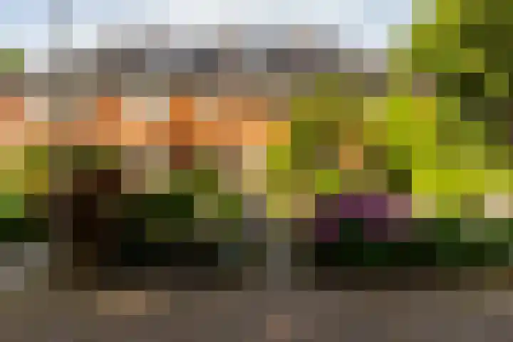 Johan Wagenaarlaan 5 Heemstede thumbnail 46
