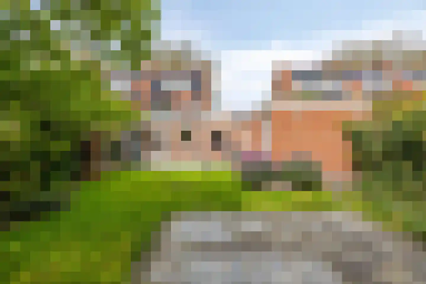 Johan Wagenaarlaan 62 Heemstede thumbnail 13