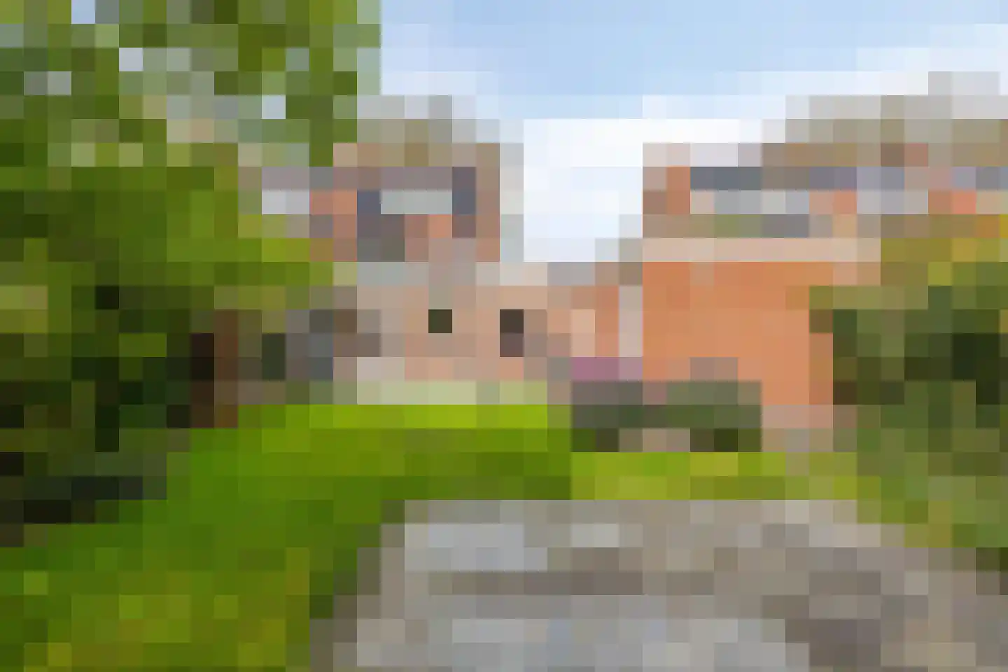 Johan Wagenaarlaan 62 Heemstede thumbnail 14