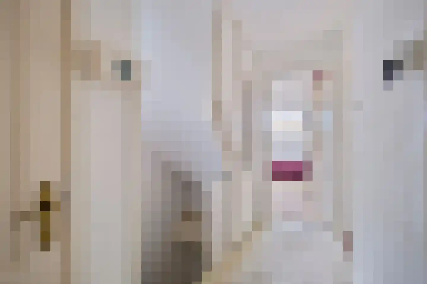 Johan Wagenaarlaan 62 Heemstede thumbnail 31