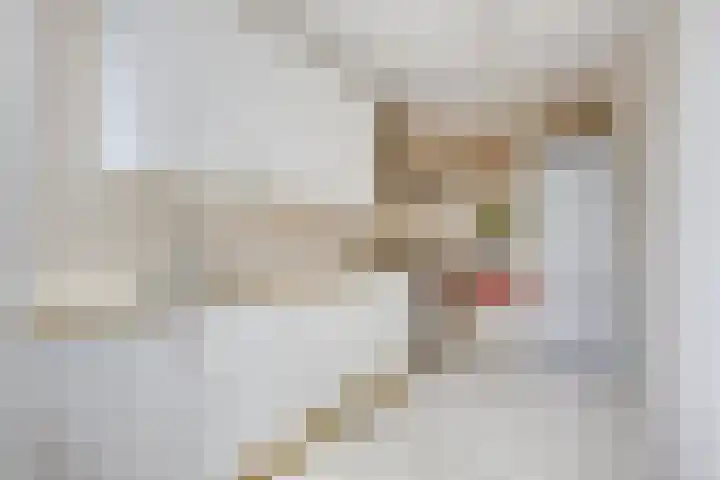 Johan Wagenaarlaan 7 Voorschoten thumbnail 16