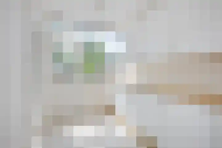 Johan Wagenaarlaan 7 Voorschoten thumbnail 17