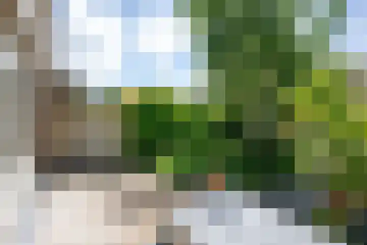 Johan Wagenaarlaan 7 Voorschoten thumbnail 18