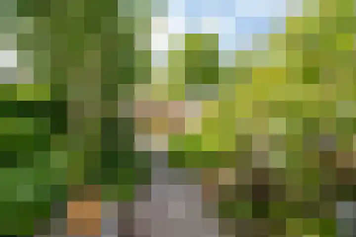 Johan Wagenaarlaan 7 Voorschoten thumbnail 21