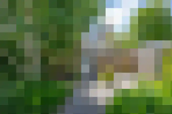 Johan Wagenaarlaan 7 Voorschoten thumbnail 22