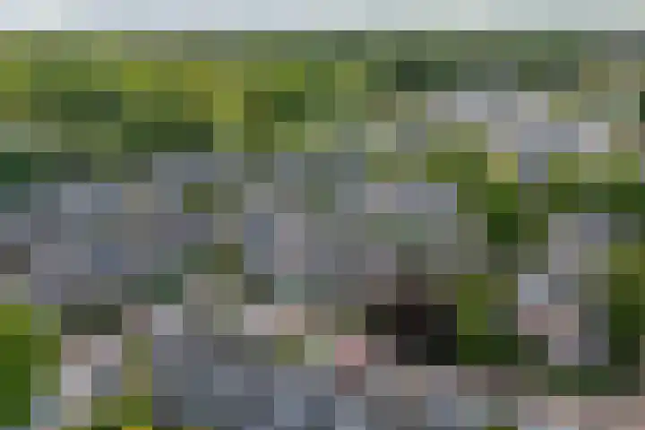 Johan Wagenaarlaan 7 Voorschoten thumbnail 35