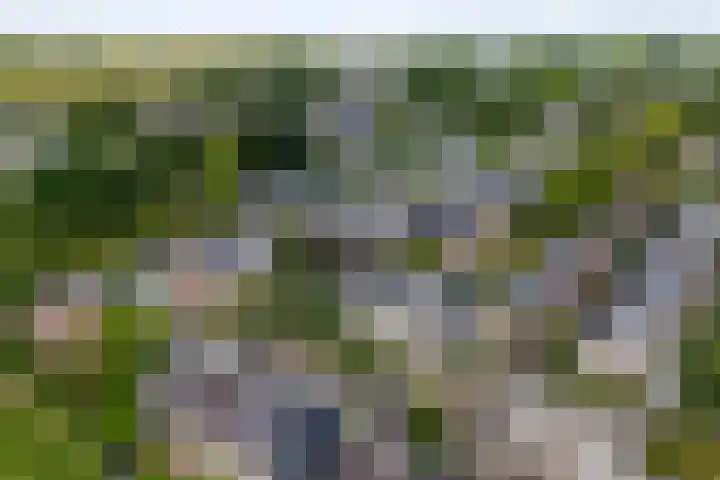 Johan Wagenaarlaan 7 Voorschoten thumbnail 37