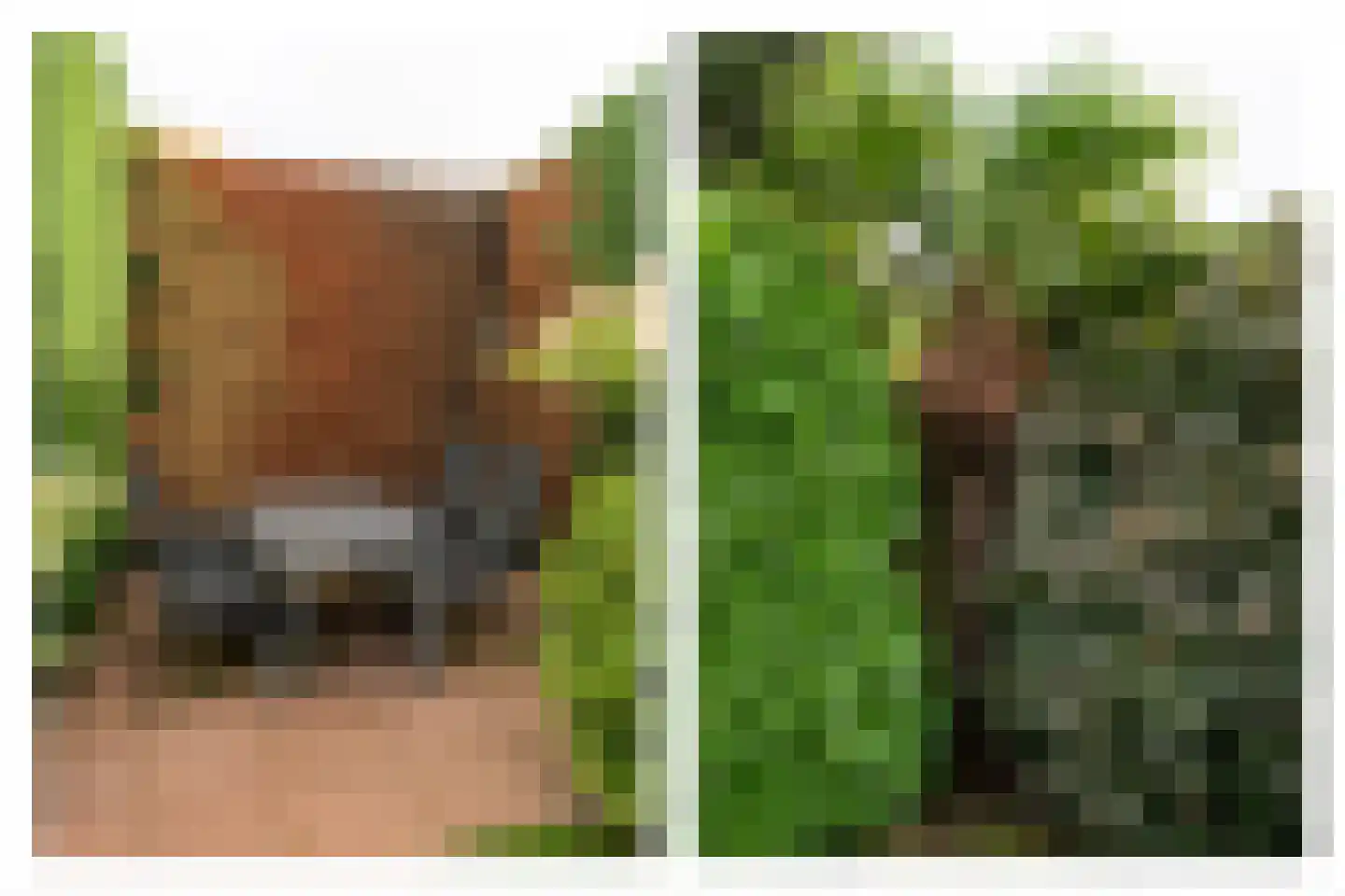 Johan Wagenaarlaan 8 Heemstede thumbnail 28