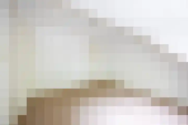 Johan Wagenaarlaan 9 Heemstede thumbnail 33