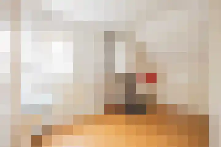 Johan Wagenaarlaan 9 Heemstede thumbnail 37