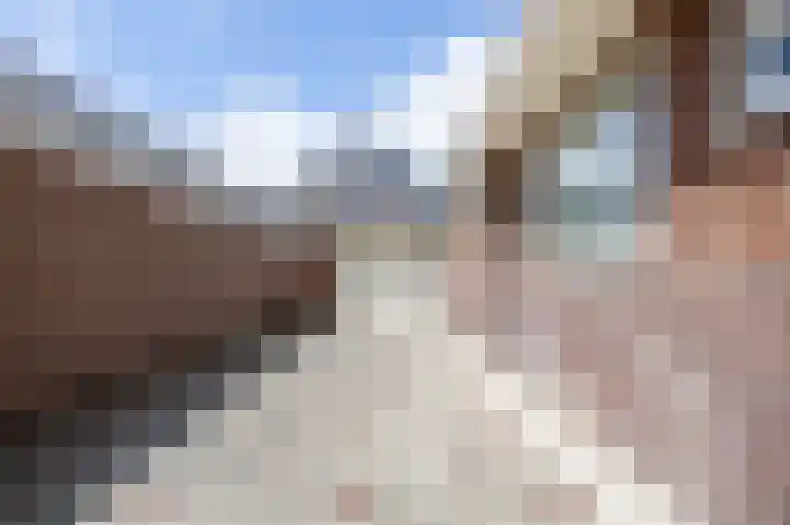 Johan Wagenaarlaan 9 Heemstede thumbnail 38
