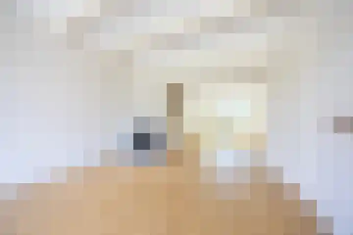 Johan Wagenaarlaan 9 Heemstede thumbnail 5