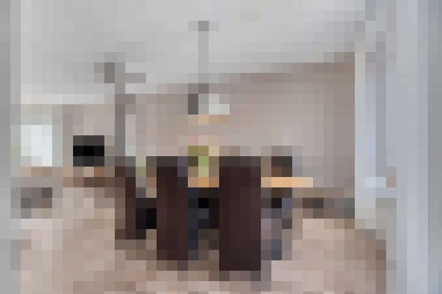 Johan Wagenaarplein 20 Dieren thumbnail 11