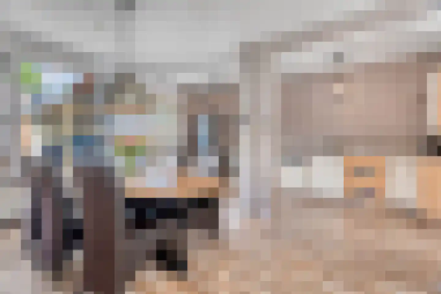 Johan Wagenaarplein 20 Dieren thumbnail 12