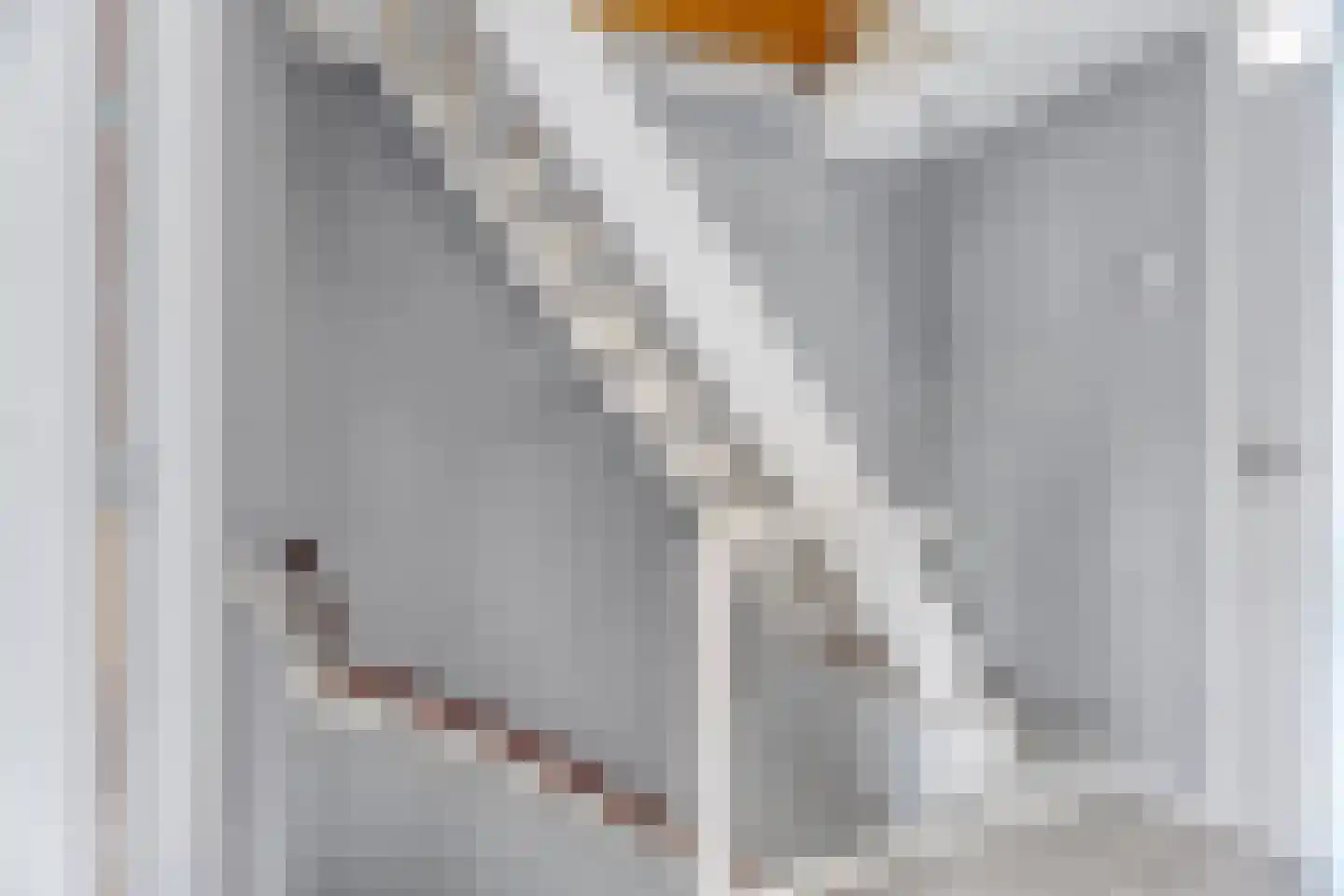 Johan Wagenaarplein 20 Dieren thumbnail 22