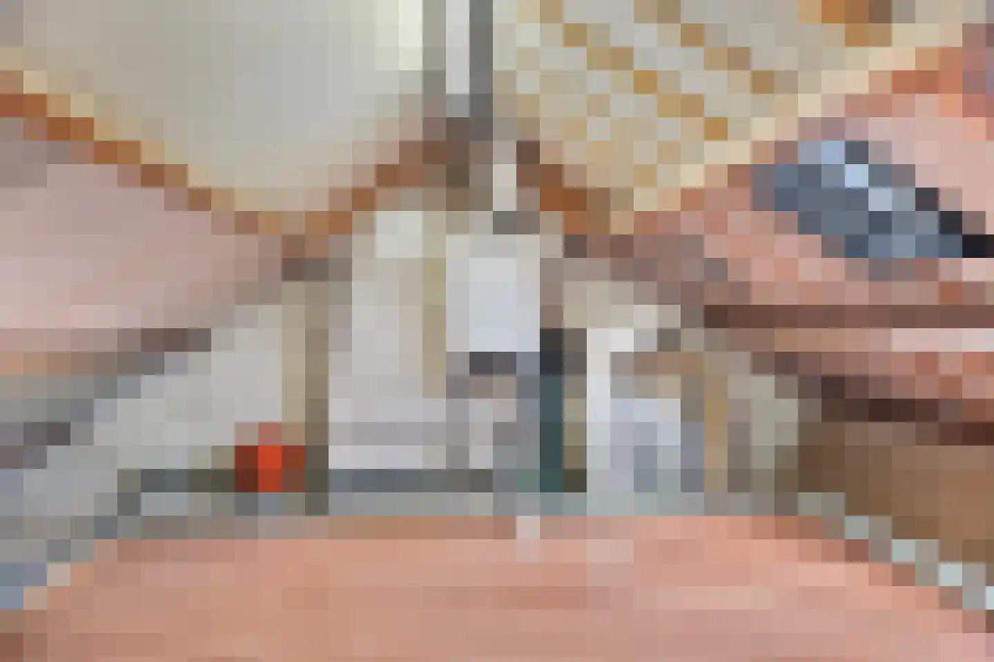 Johan Wagenaarplein 20 Dieren thumbnail 23