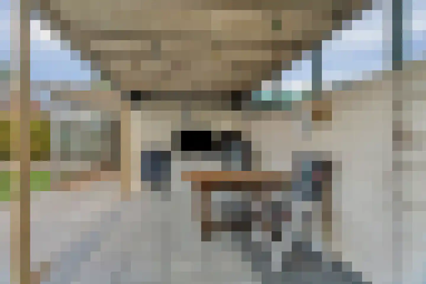 Johan Wagenaarplein 20 Dieren thumbnail 26