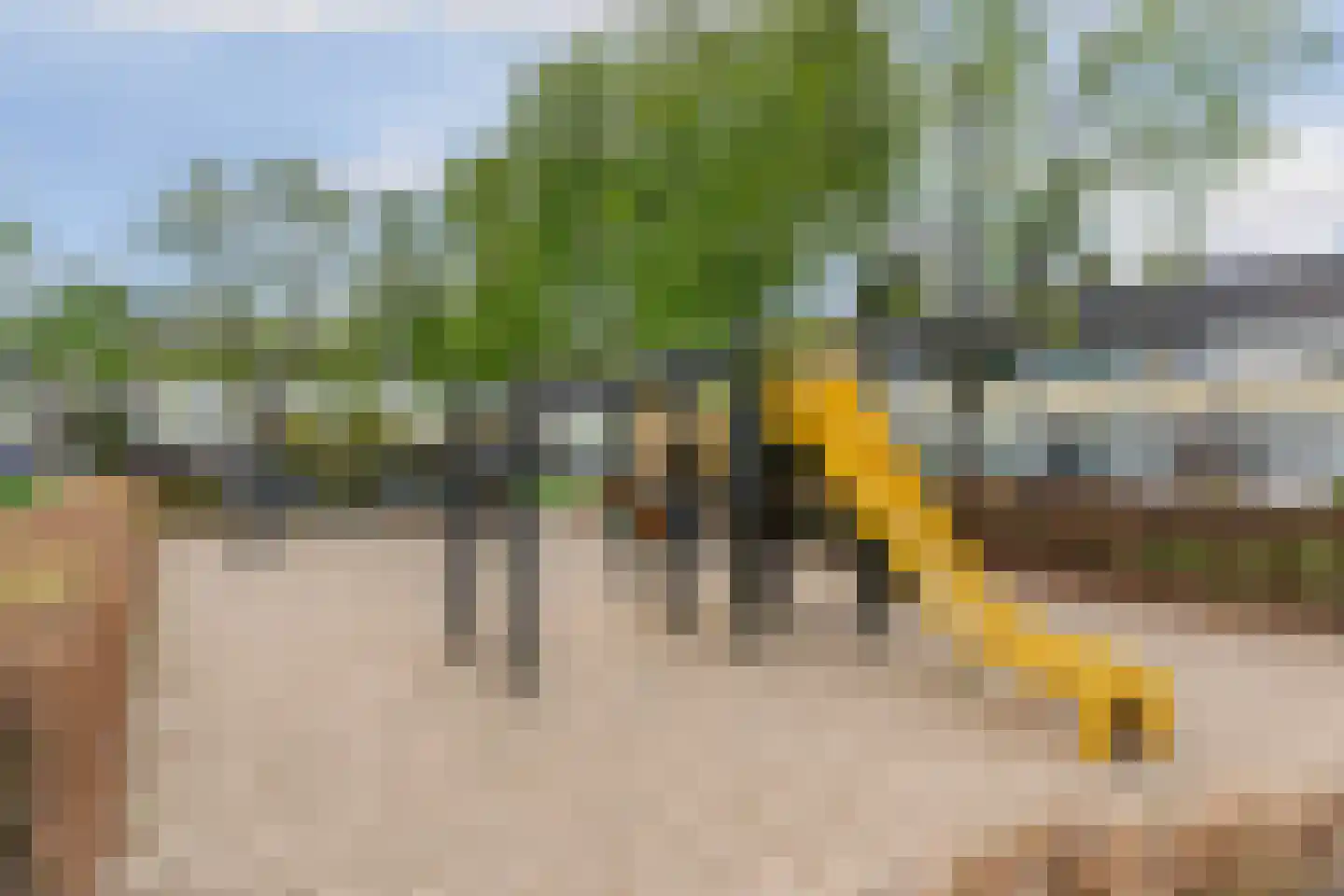 Johan Wagenaarplein 20 Dieren thumbnail 31