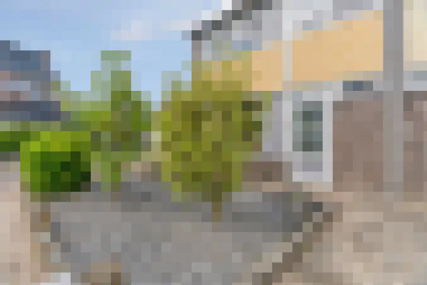 Johan Wagenaarplein 20 Dieren thumbnail 5